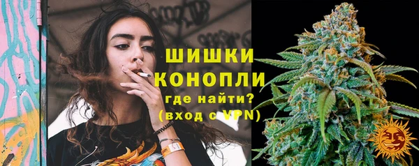 винт Верея