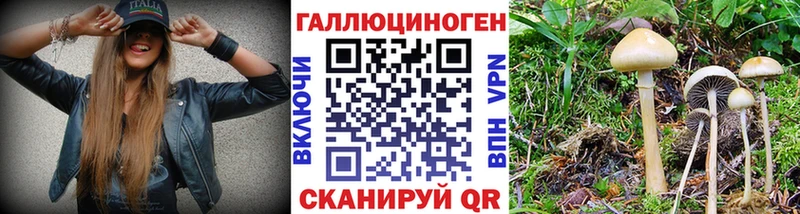 Галлюциногенные грибы ЛСД Кашира
