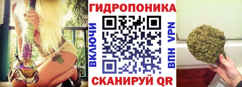 где найти   Кашира  Канабис MAZAR 